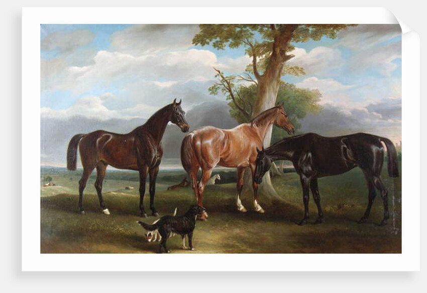 The 6th Duke's favourite hunters and dogs, 1857 by John E. Ferneley