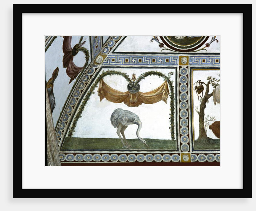 The 'Camera con Fregio di Amorini' detail of an ostrich, 1520's by Giulio Romano