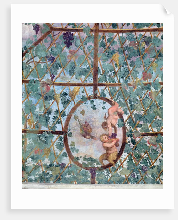 The semicircular ionic portico, detail of the ceiling vault depicting a putto feeding a young satyr grapes, 1551-55 by Pietro Venale