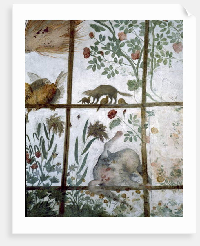 The antechamber of the 'Studiolo' of Francesco de'Medici detail of decoration depicting animals in a garden pergola, 1564-75 by Nanni di B. Bigio & Bartolomeo Ammannati