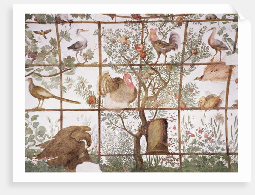 The antechamber of the 'Studiolo' of Francesco de'Medici detail of decoration depicting birds in a garden pergola, 1564-75 by Nanni di B. Bigio & Bartolomeo Ammannati