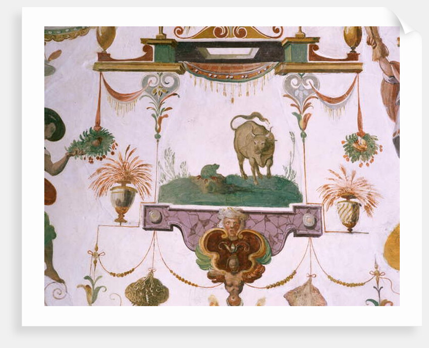 The 'Studiolo' of Francesco de'Medici detail of decoration depicting a grotesque of bull and a frog, 1564-75 by Nanni di B. Bigio & Bartolomeo Ammannati