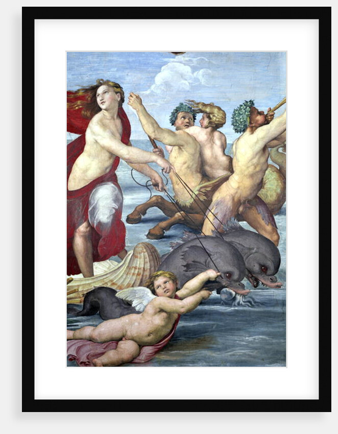 Galatea, detail of mermen and dolphins, 1506 by Raphael