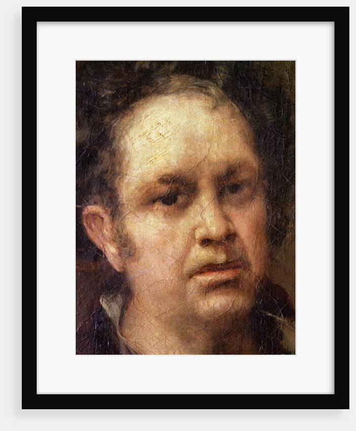 Self Portrait at the Age of 69, c.1815 by Francisco Jose de Goya y Lucientes