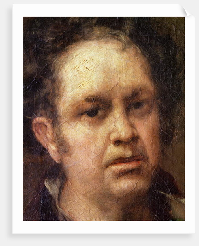 Self Portrait at the Age of 69, c.1815 by Francisco Jose de Goya y Lucientes