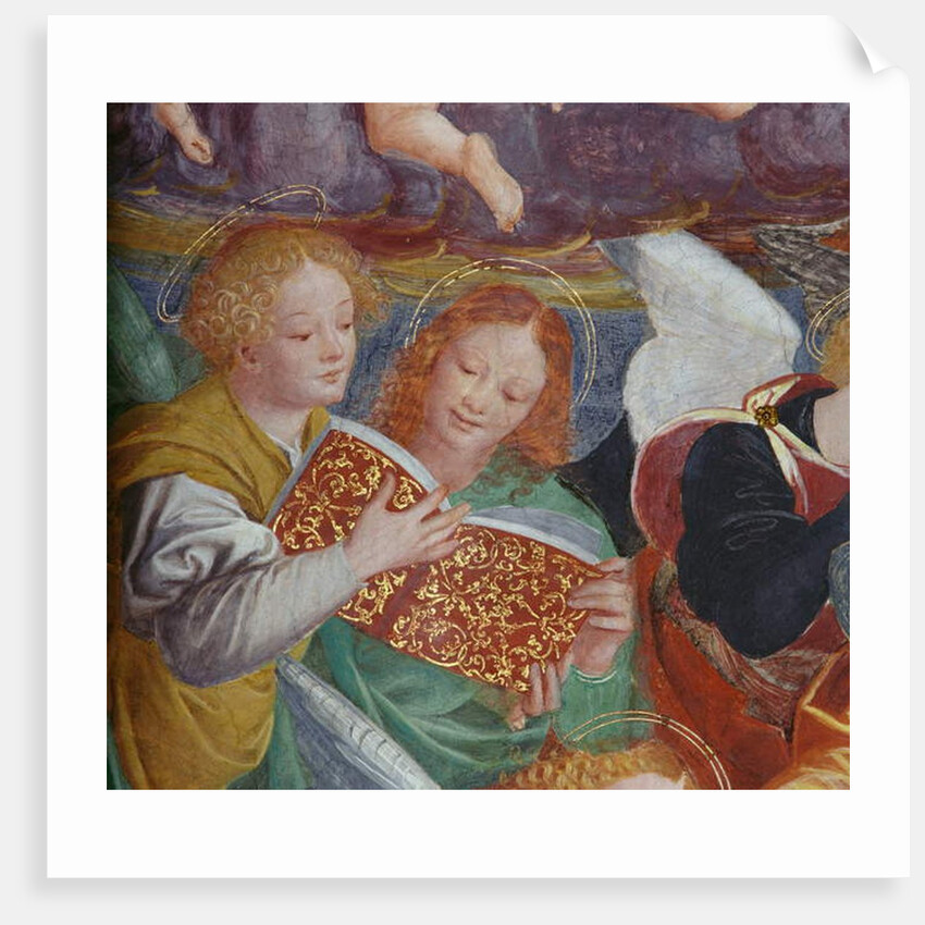 The Concert of Angels, 1534-36 by Gaudenzio Ferrari