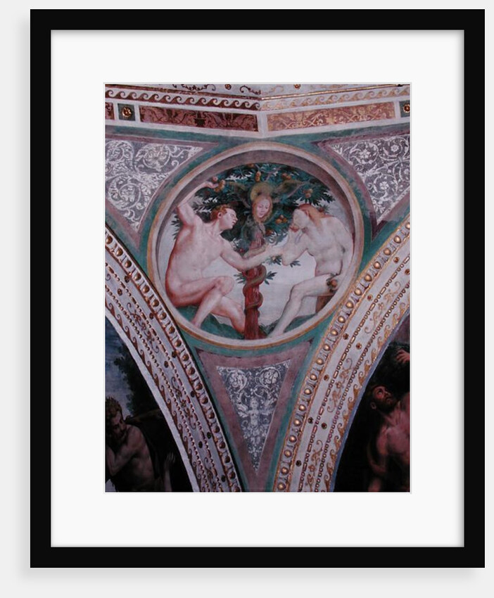 Original Sin by Bernardino Luini