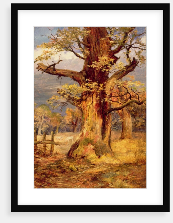 Blasted Oak, Galloway by James Jnr Faed