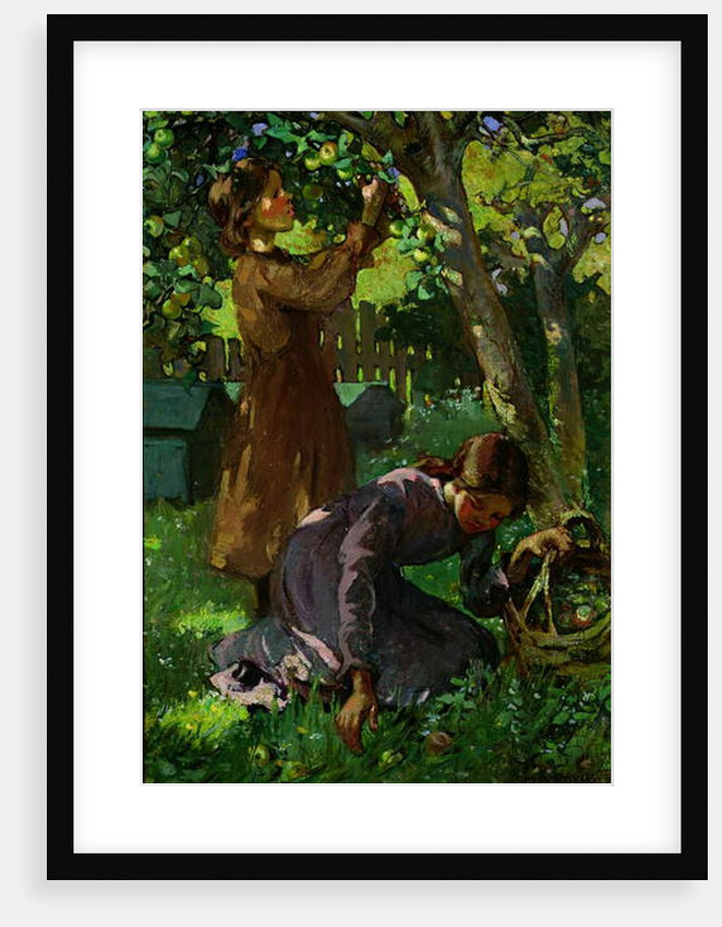 Picking Apples, c.1920 by Mabel Royds