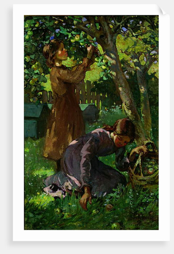 Picking Apples, c.1920 by Mabel Royds