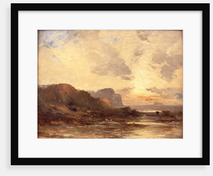 The Berwickshire Coast by John Milne Donald