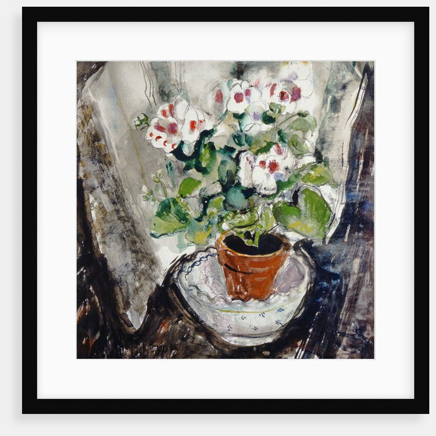 Pelargonium by Anne Redpath