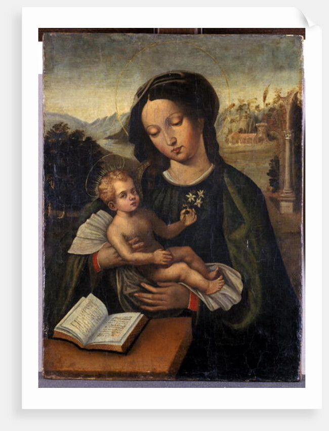 Madonna and Child by Italian School