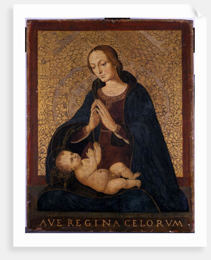 Madonna and Child Praying, c.1500 by Italian School