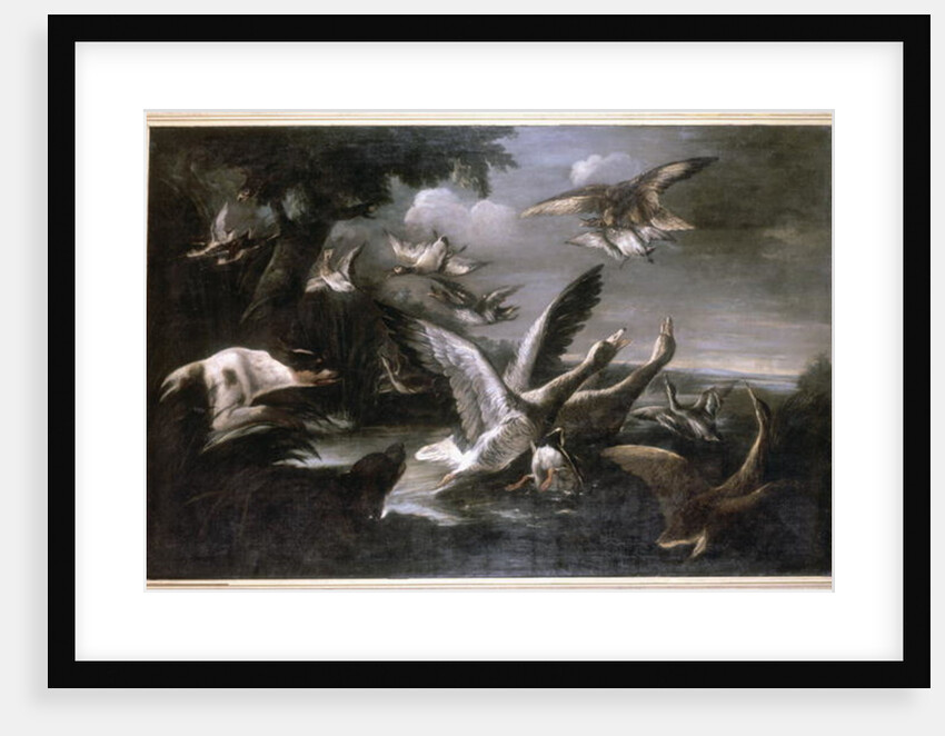 Eagle, Wild Geese and Dogs by German School