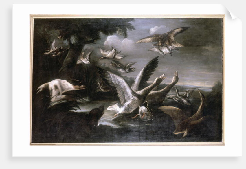 Eagle, Wild Geese and Dogs by German School
