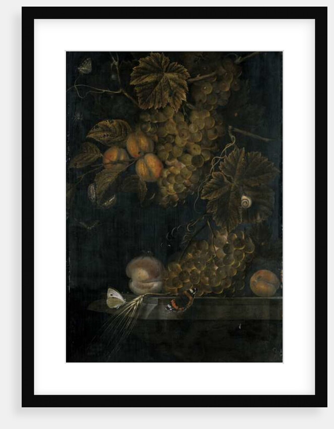 Still life with peaches and grapes, 1665 by Ottmar the Elder Elliger