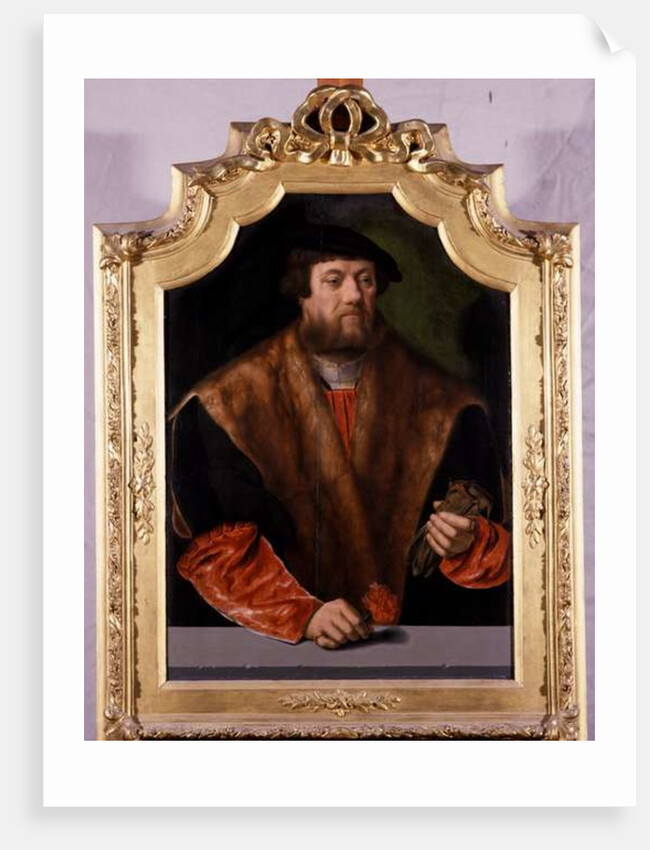 Portrait of a Nobleman, 1544 by Bartholomaeus the Elder Bruyn