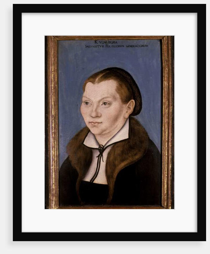 Katharina Luther, 1529 by Lucas the Elder Cranach