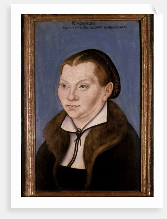 Katharina Luther, 1529 by Lucas the Elder Cranach