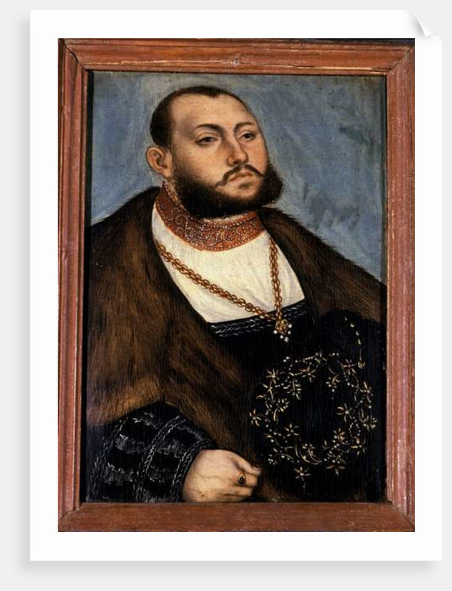 John Frederick the Magnanimous, Elector of Saxony, 1535 by Lucas the Elder Cranach