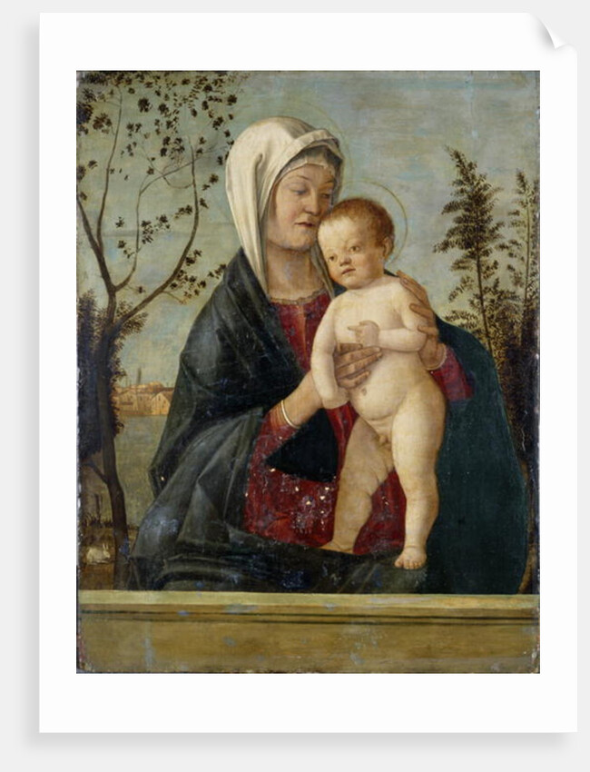Madonna and Child, c.1510 by Marco Basaiti