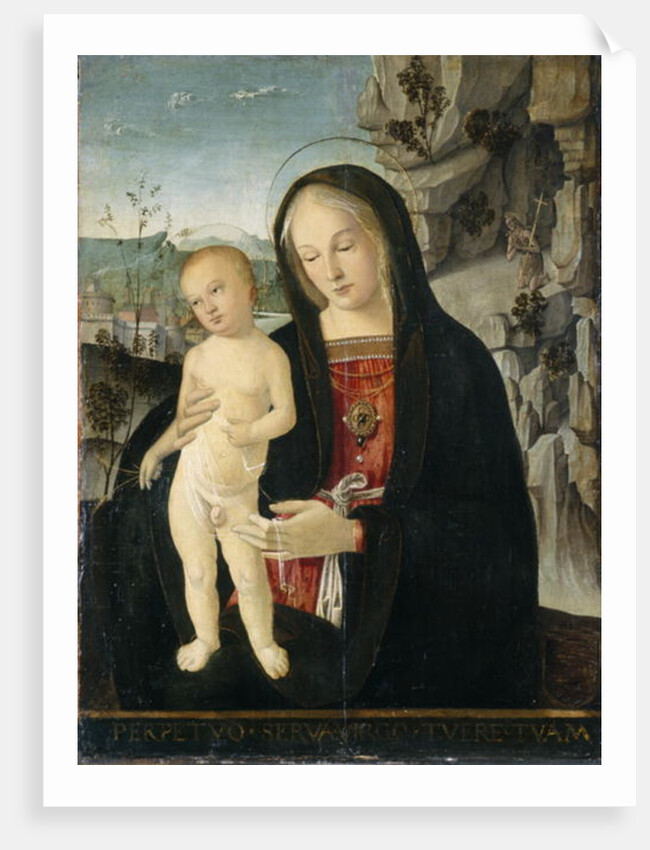 Madonna and Child, c.1500 by Italian School