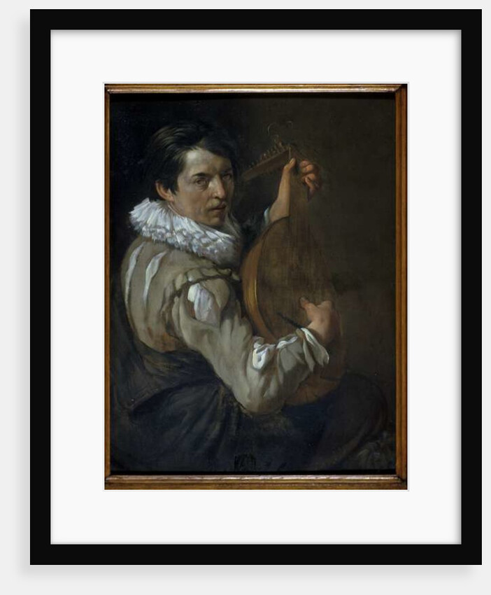 The Lute Player by Arie de Vois