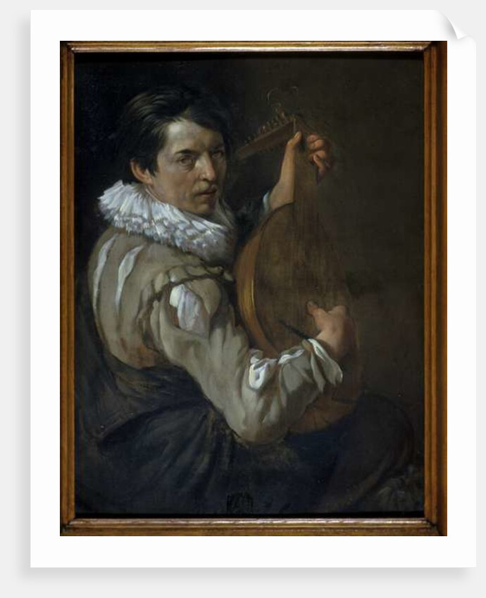 The Lute Player by Arie de Vois