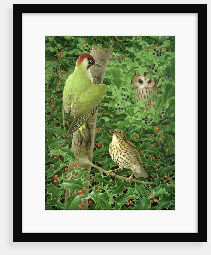 Woodpecker, Owl and Thrush by Birgitte Hendil