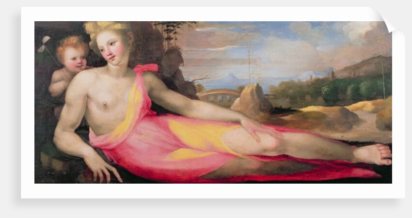 Venus and Cupid, c.1519 by Domenico Beccafumi