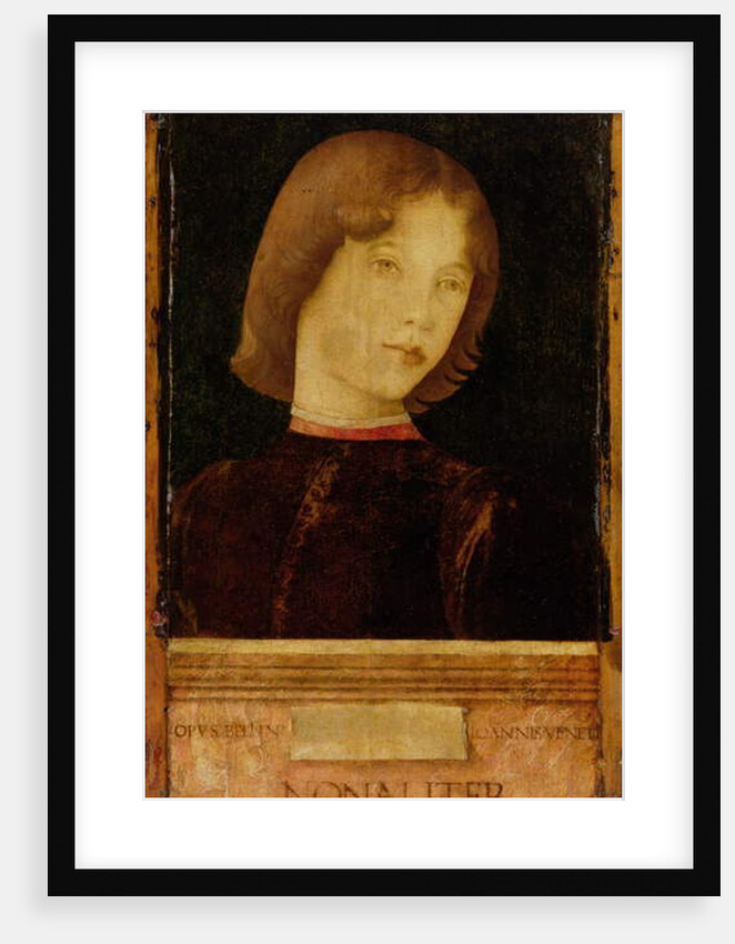 Portrait of a Boy, c.1470 by Giovanni Bellini
