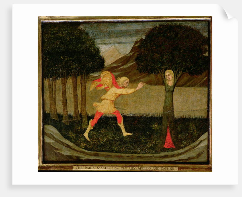 The Metamorphosis of Daphne by Master of the Judgement of Paris