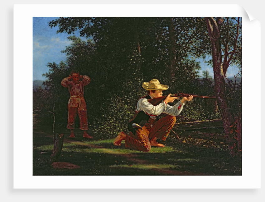 Drawing a Bead on a Woodchuck by William M Davis