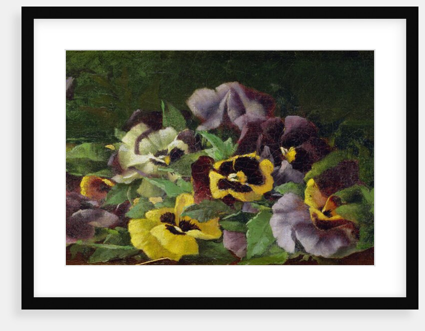 Pansies by Claude Raguet Hirst