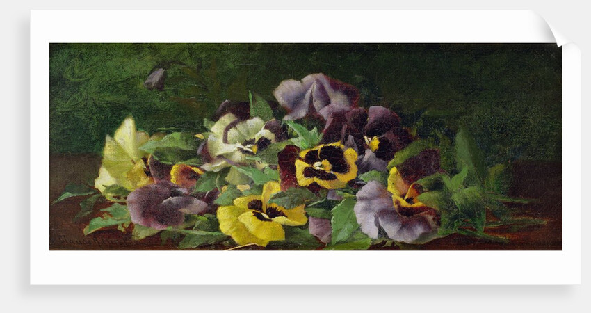Pansies by Claude Raguet Hirst