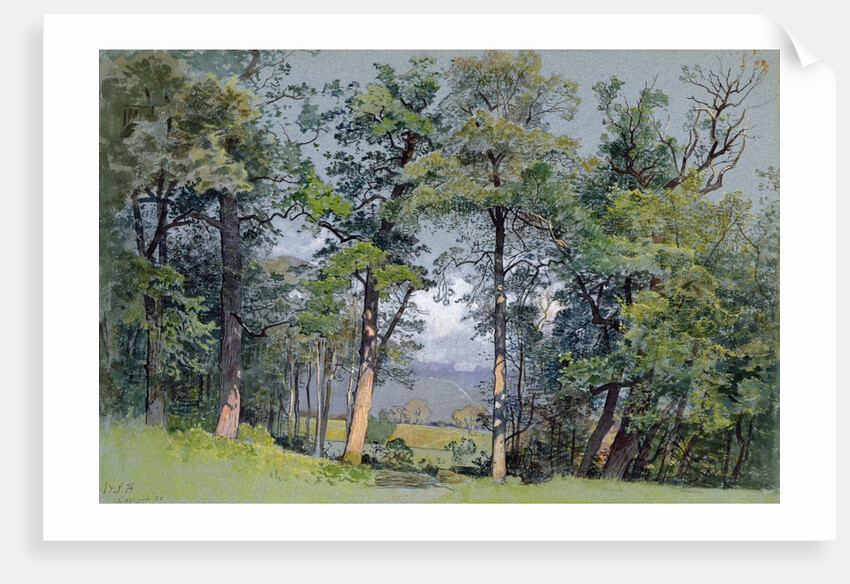 Coppet, Lake Geneva, 1880 by William Stanley Haseltine