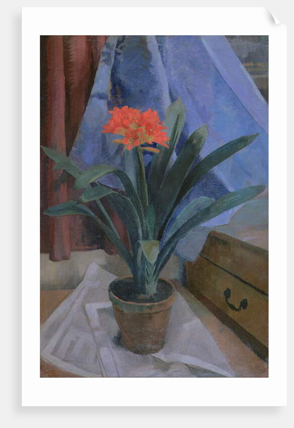 Clivia, 1917 by Roger Eliot Fry