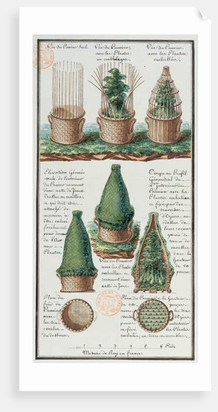 Illustration of a woven basket for transporting plants by Gaspard Duche de Vancy