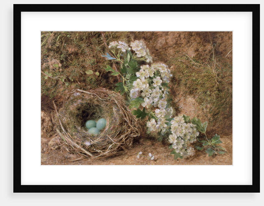 May Blossom and a Hedge Sparrow's Nest, 1845 by William Henry Hunt