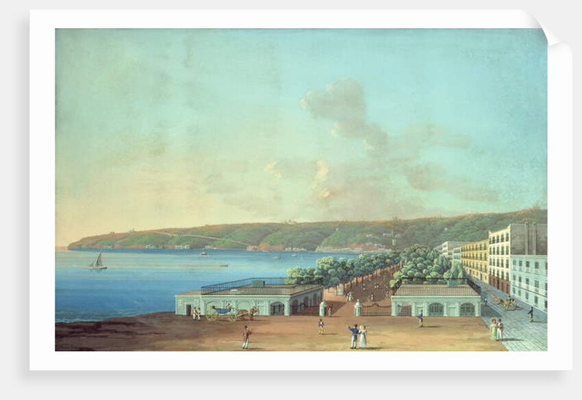 La Villa Reale by Italian School