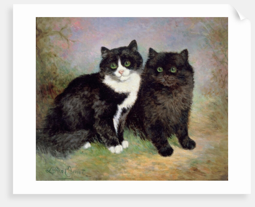 A Pair of Pussy Cats by Lilian Cheviot