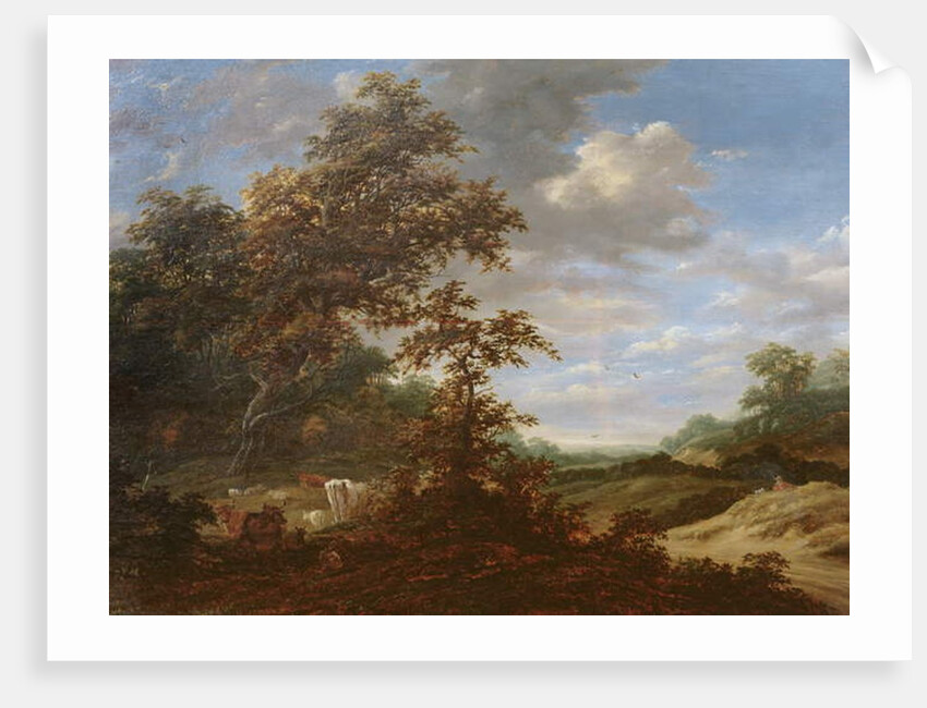 A Wooded Landscape with Cattle by Jacob Salomonsz. Ruysdael
