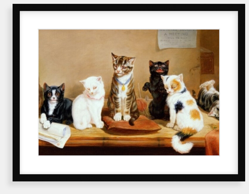 Women's Rights - A Meeting, 1885 by William Henry Hamilton Trood