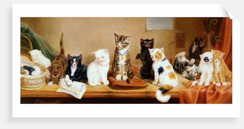 Women's Rights - A Meeting, 1885 by William Henry Hamilton Trood