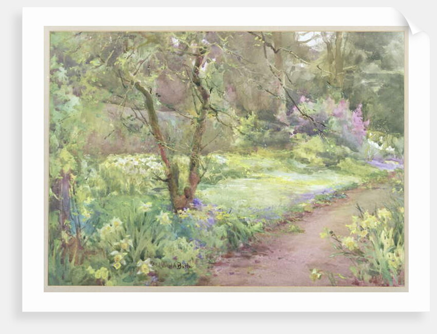 A Bypath by Mildred Anne Butler