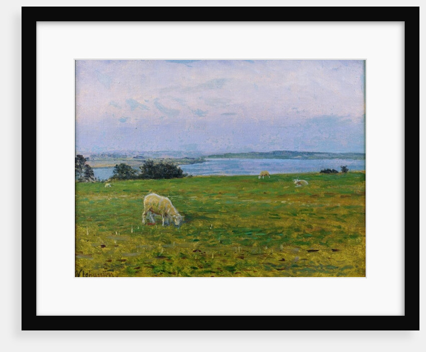 Sheep Grazing, Osterby, Skagen by Viggo Johansen
