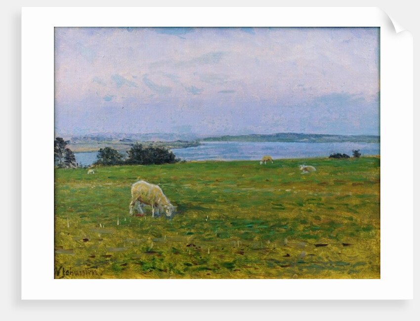 Sheep Grazing, Osterby, Skagen by Viggo Johansen