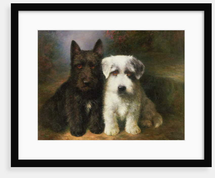 A Scottish and a Sealyham Terrier by Lilian Cheviot