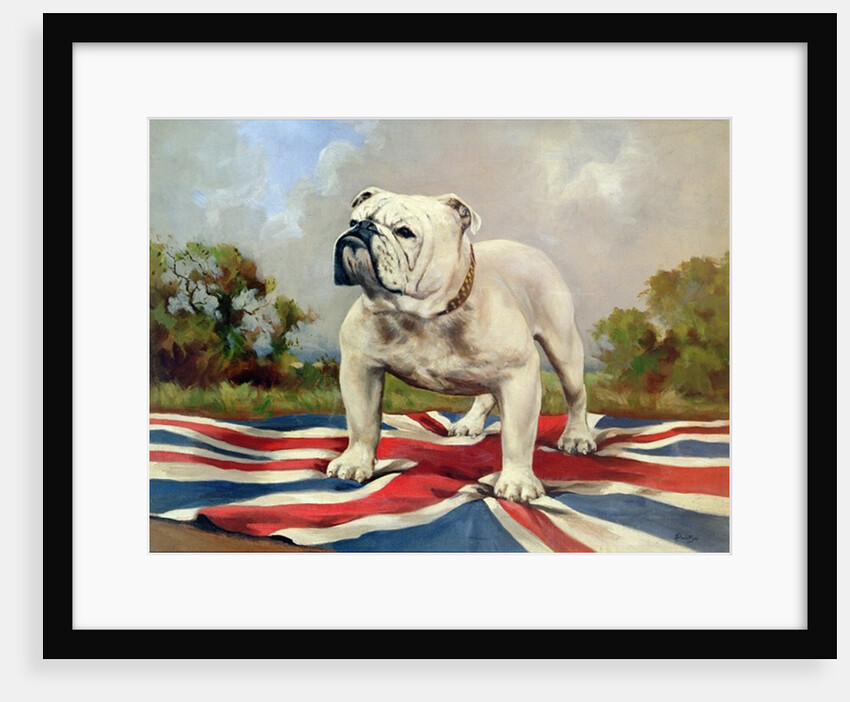 British Bulldog by English School